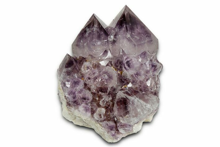 Deep-Purple Cactus Amethyst Crystal Cluster - South Africa #337603